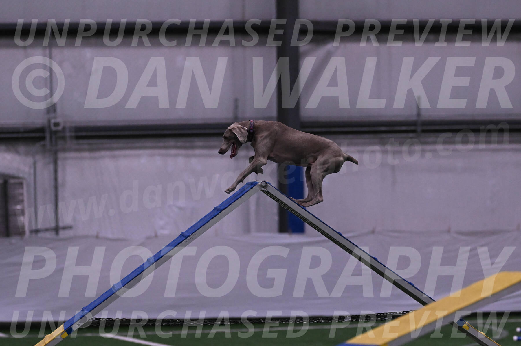 Kona-Beth-Ann-Laidman-09352