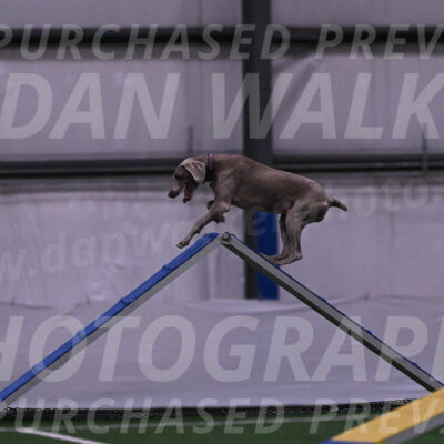 Kona-Beth-Ann-Laidman-09352