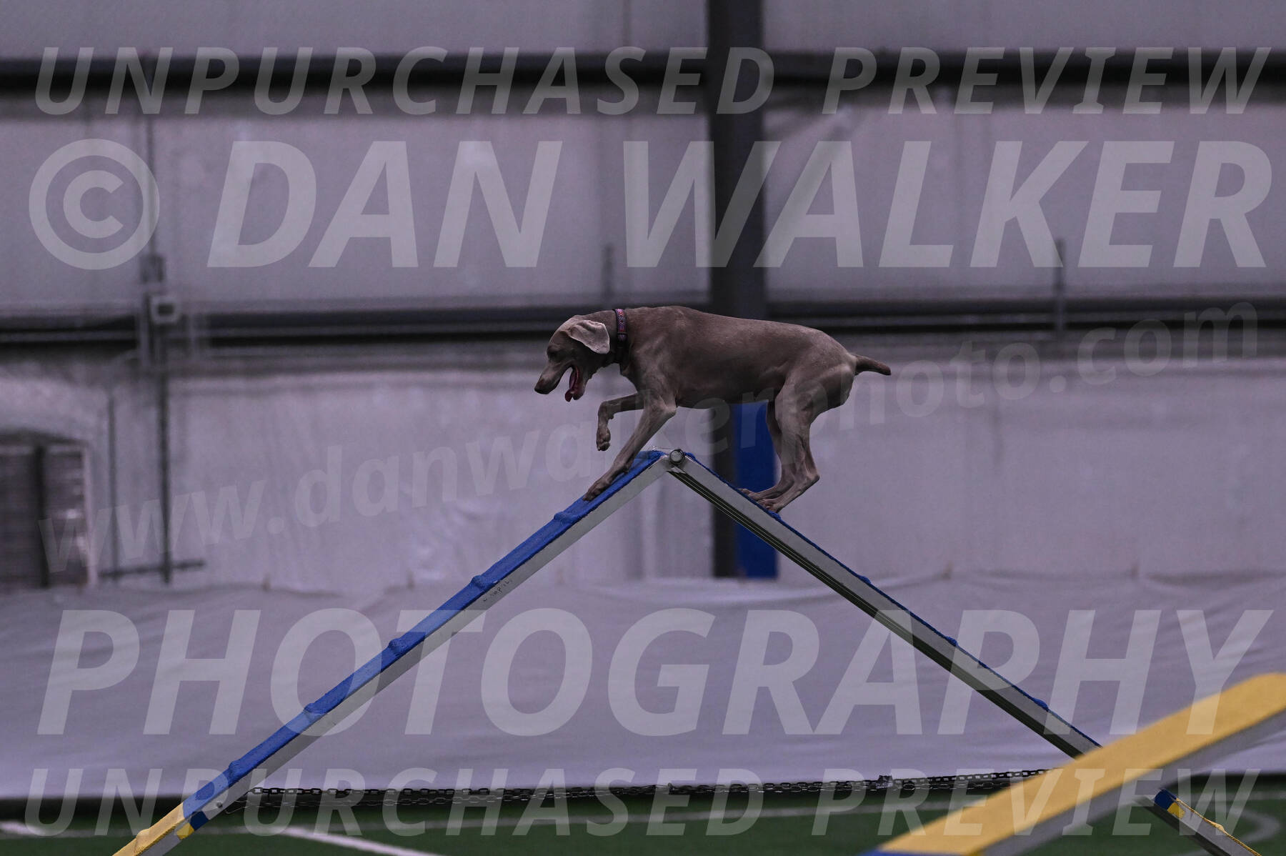 Kona-Beth-Ann-Laidman-09353