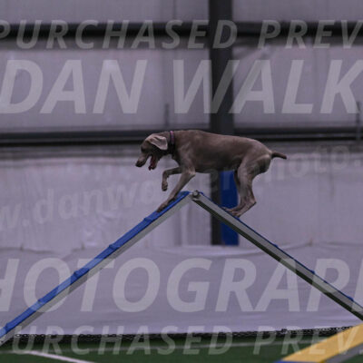 Kona-Beth-Ann-Laidman-09353