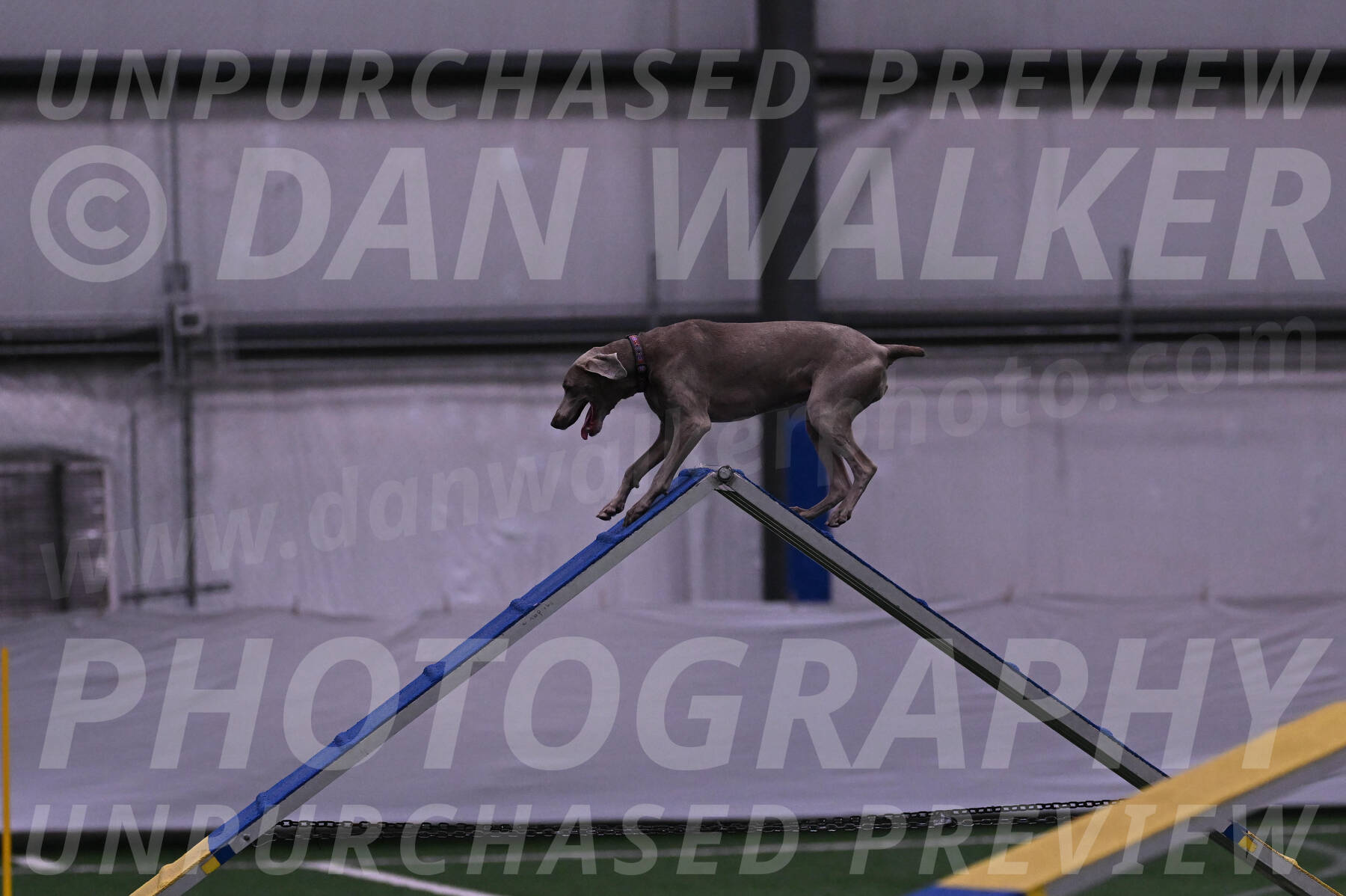 Kona-Beth-Ann-Laidman-09354