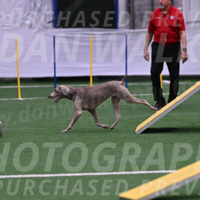 Kona-Beth-Ann-Laidman-09357