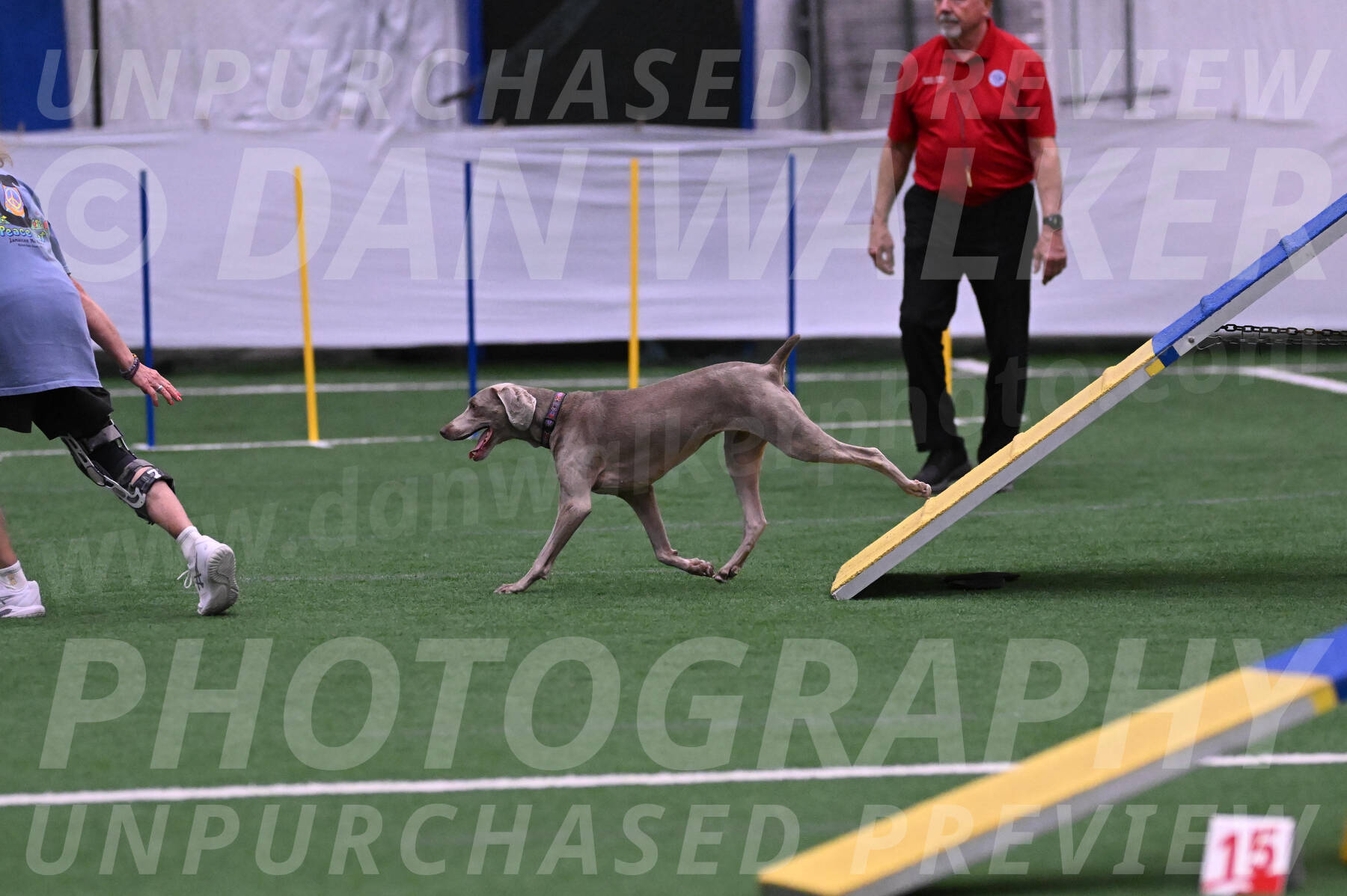 Kona-Beth-Ann-Laidman-09357
