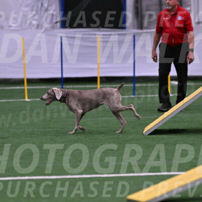 Kona-Beth-Ann-Laidman-09358