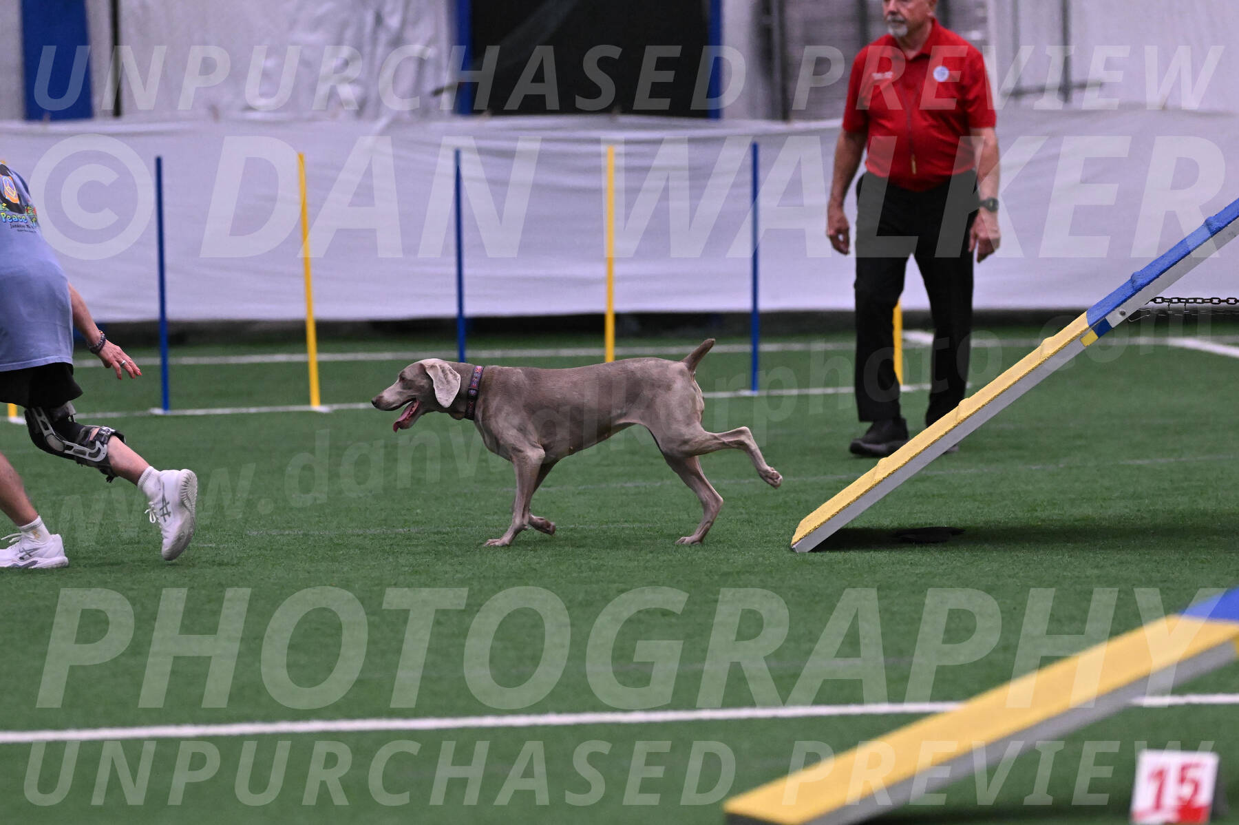 Kona-Beth-Ann-Laidman-09358