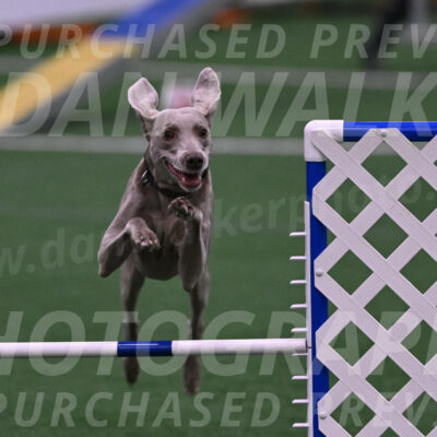 Kona-Beth-Ann-Laidman-09362