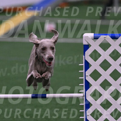 Kona-Beth-Ann-Laidman-09363