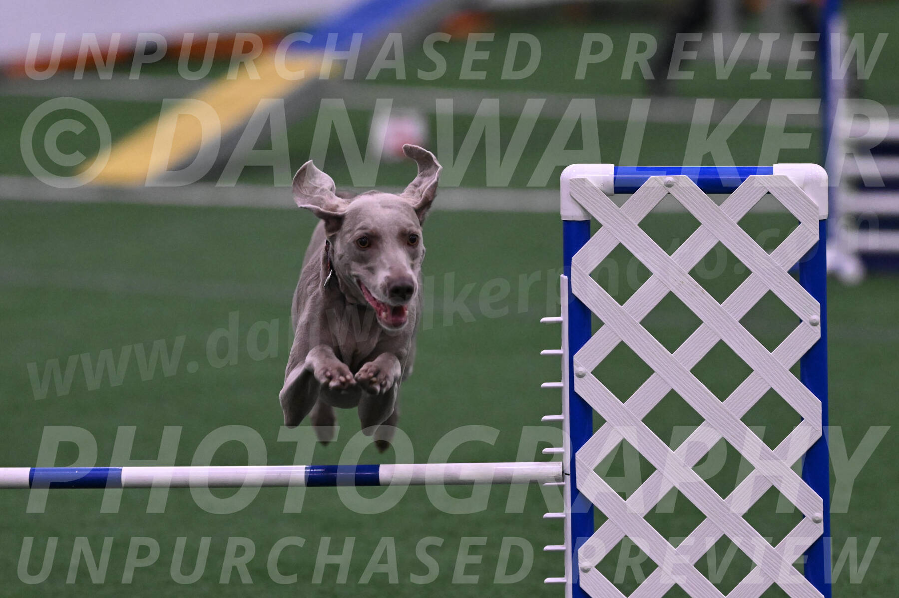 Kona-Beth-Ann-Laidman-09363