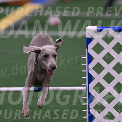Kona-Beth-Ann-Laidman-09364