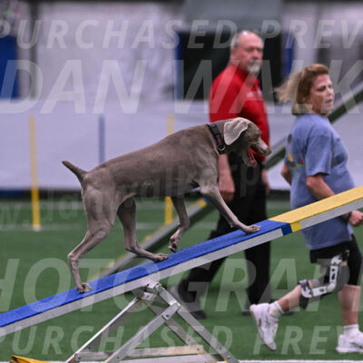 Kona-Beth-Ann-Laidman-09366
