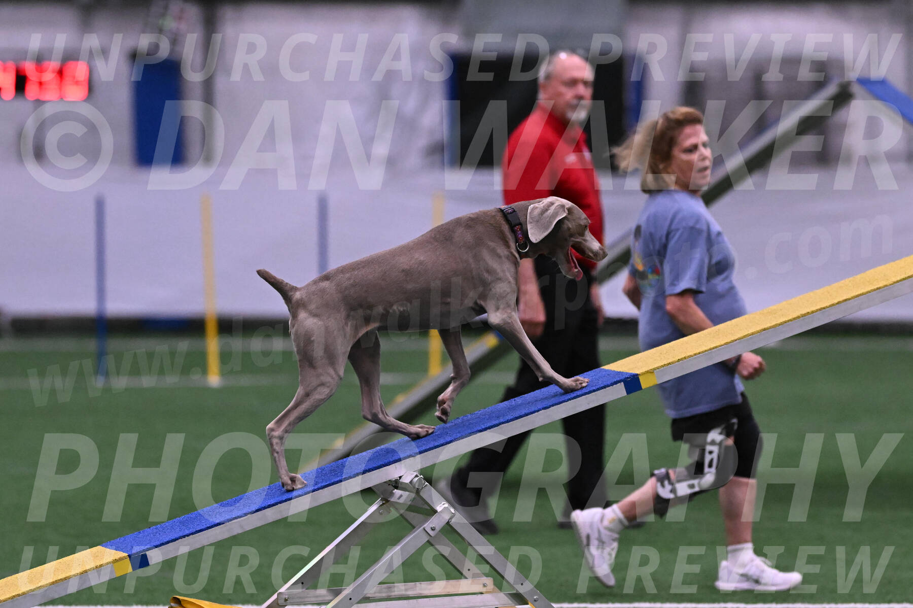 Kona-Beth-Ann-Laidman-09366
