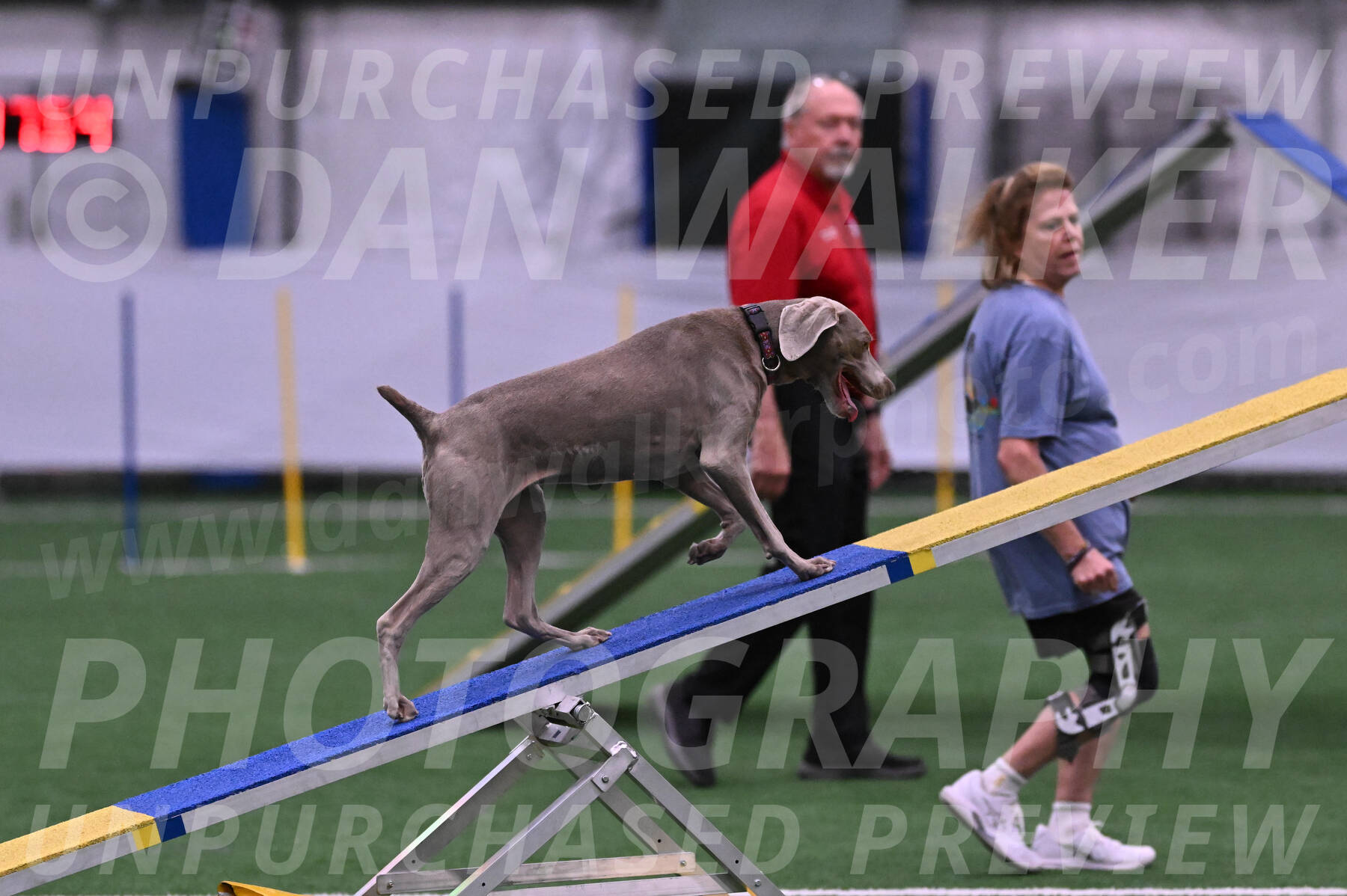 Kona-Beth-Ann-Laidman-09367