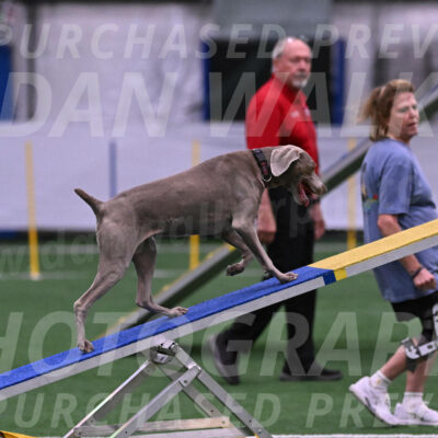 Kona-Beth-Ann-Laidman-09367