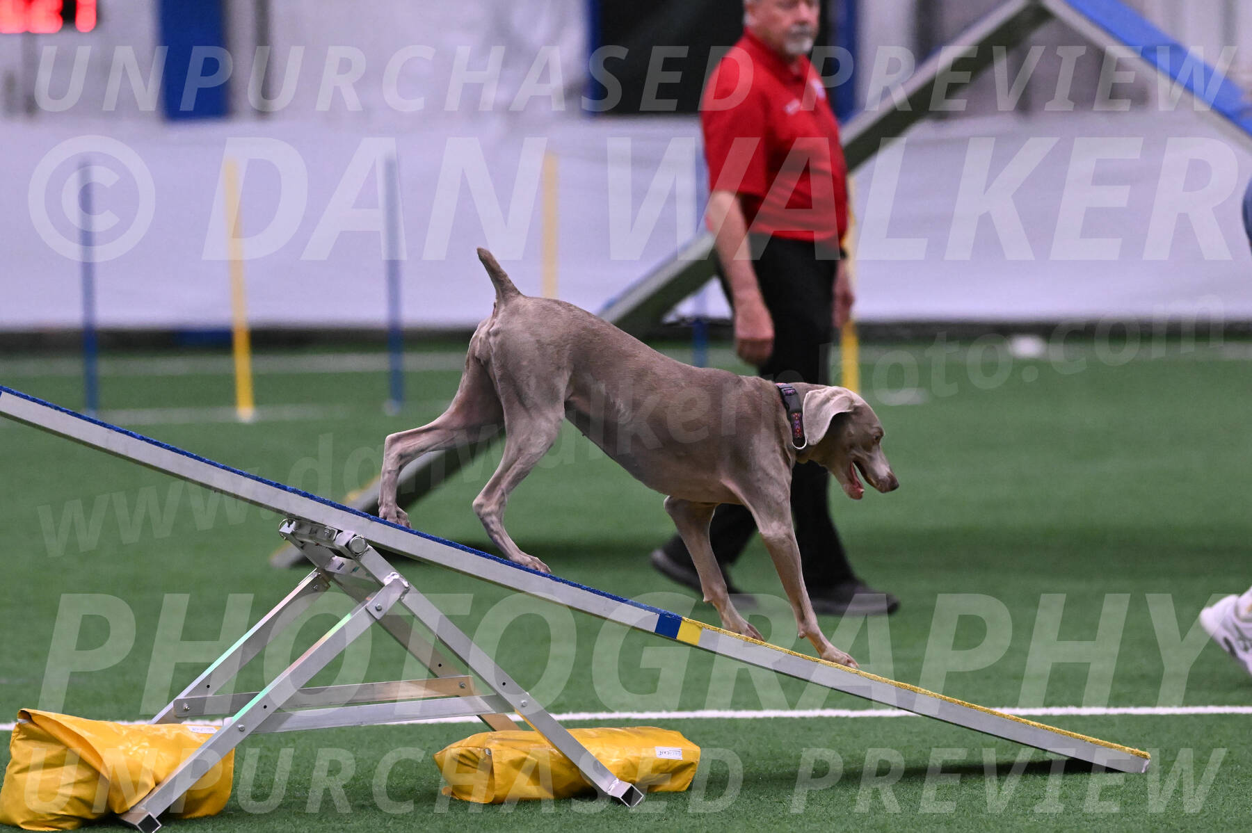 Kona-Beth-Ann-Laidman-09369