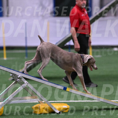 Kona-Beth-Ann-Laidman-09369