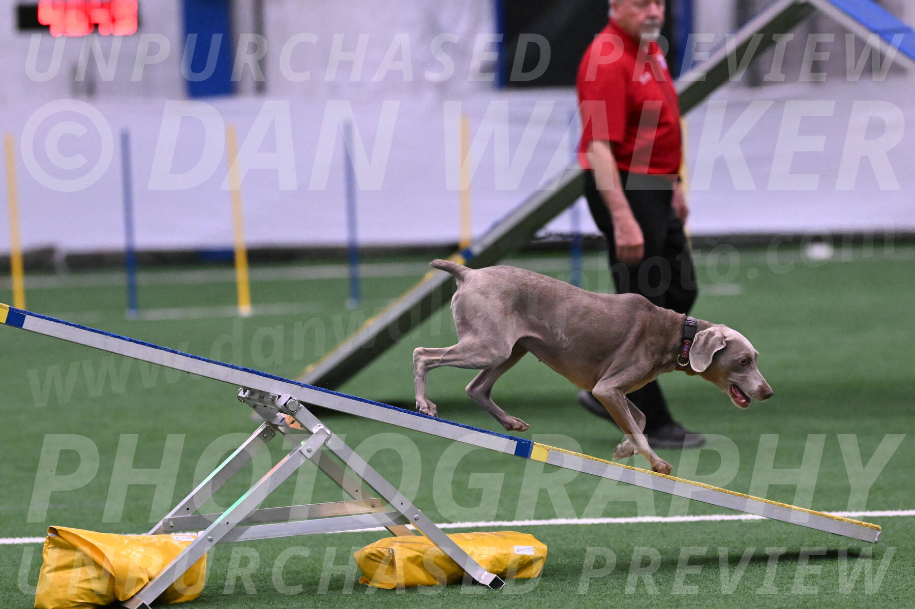 Kona-Beth-Ann-Laidman-09371