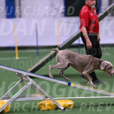 Kona-Beth-Ann-Laidman-09371