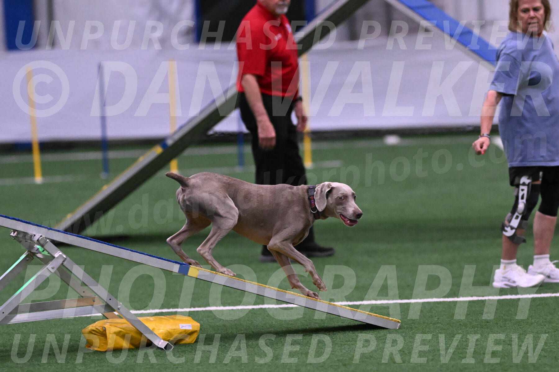 Kona-Beth-Ann-Laidman-09373
