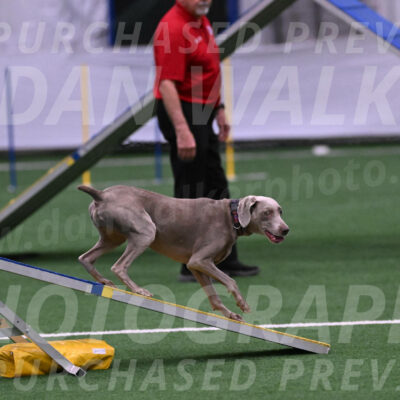 Kona-Beth-Ann-Laidman-09373
