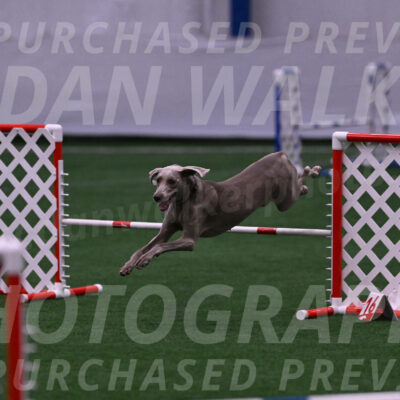 Kona-Beth-Ann-Laidman-09375