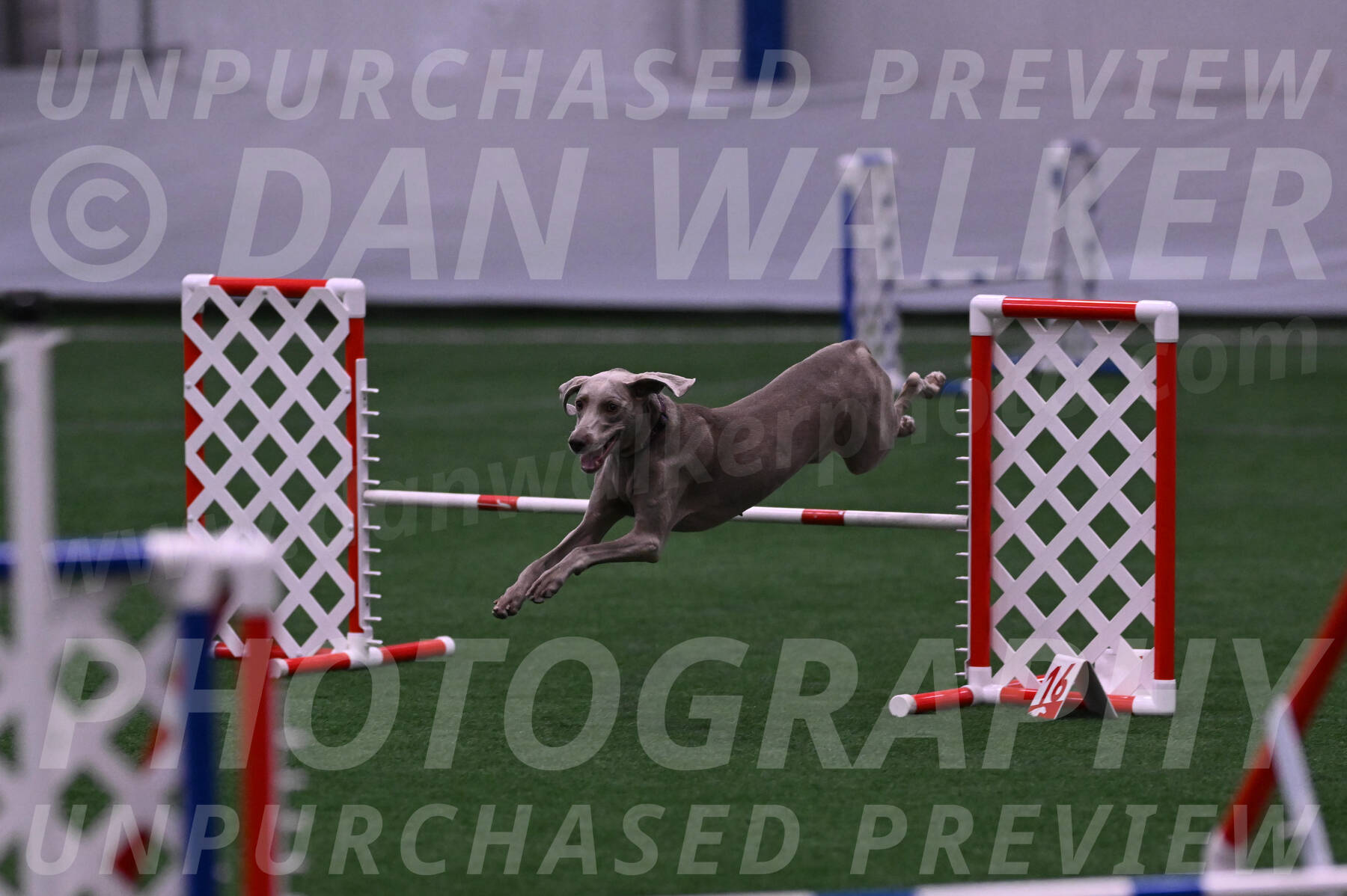 Kona-Beth-Ann-Laidman-09375