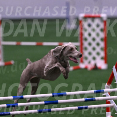 Kona-Beth-Ann-Laidman-09381