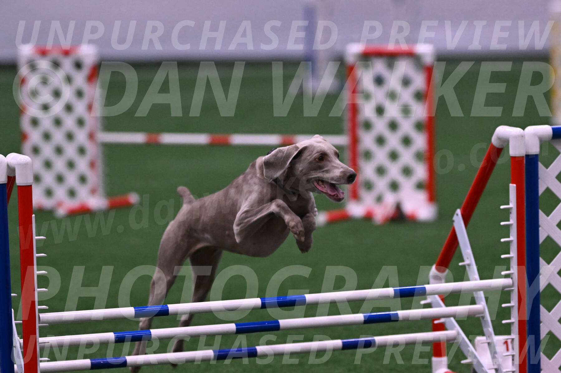 Kona-Beth-Ann-Laidman-09381