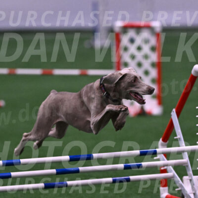 Kona-Beth-Ann-Laidman-09382