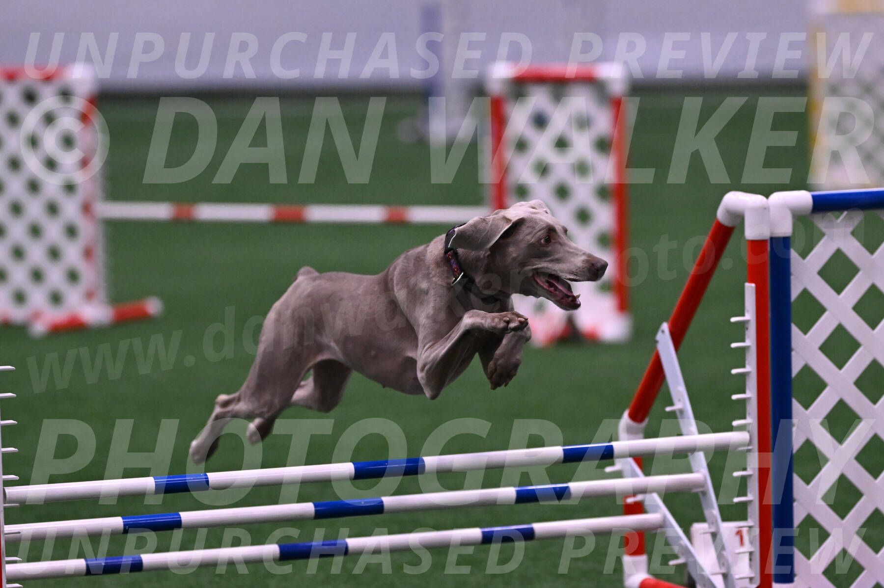 Kona-Beth-Ann-Laidman-09382