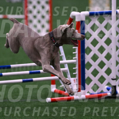 Kona-Beth-Ann-Laidman-09384