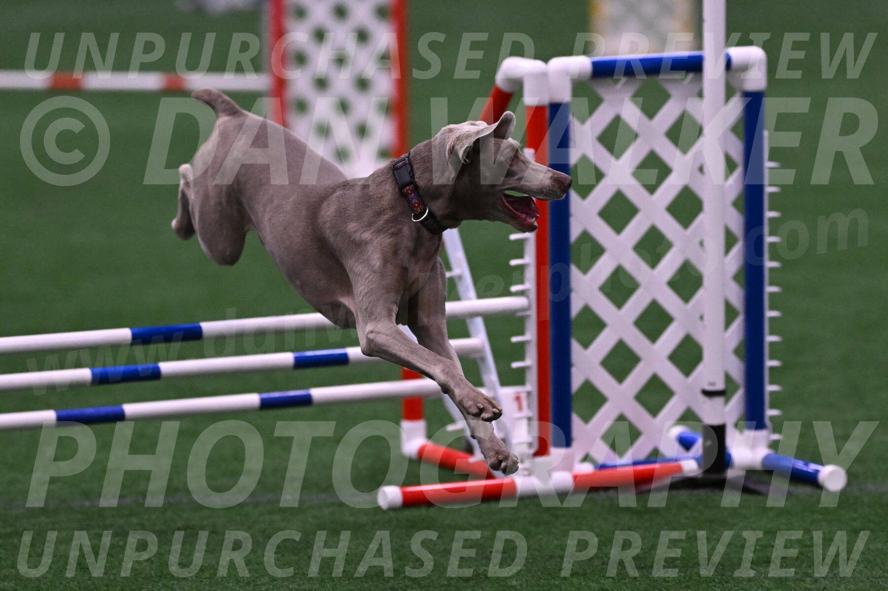 Kona-Beth-Ann-Laidman-09384