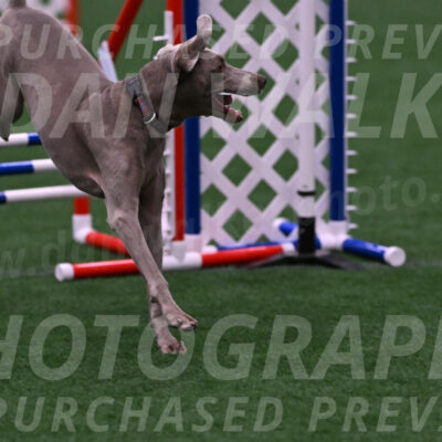 Kona-Beth-Ann-Laidman-09385