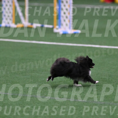 Kuro-Chasidy-DelBalso-07659