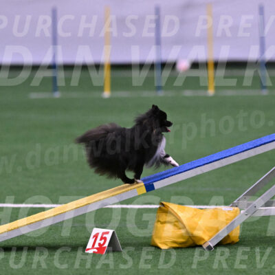 Kuro-Chasidy-DelBalso-07664