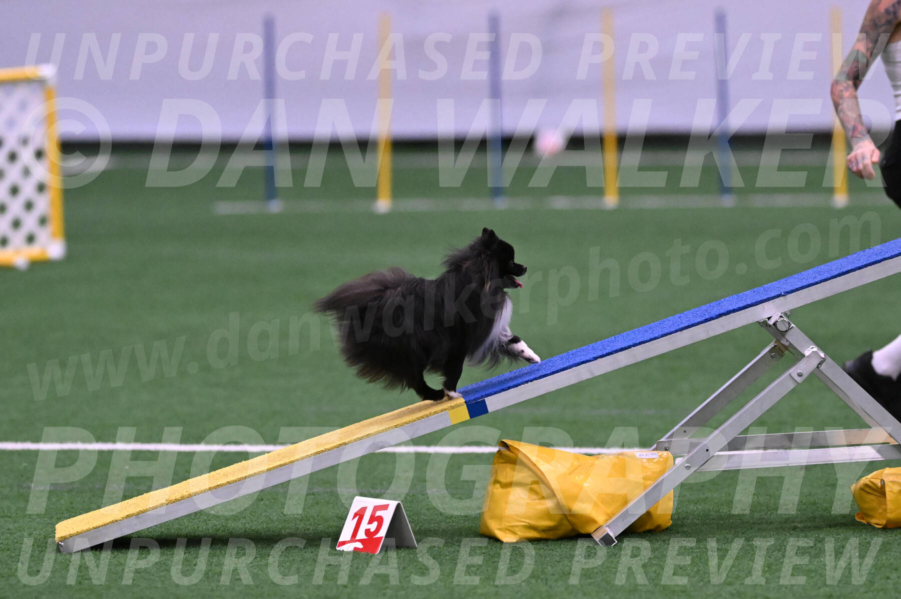 Kuro-Chasidy-DelBalso-07664