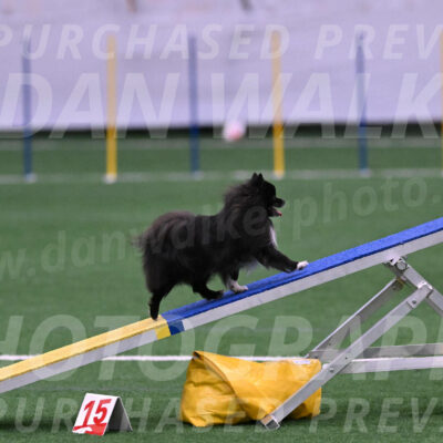 Kuro-Chasidy-DelBalso-07666