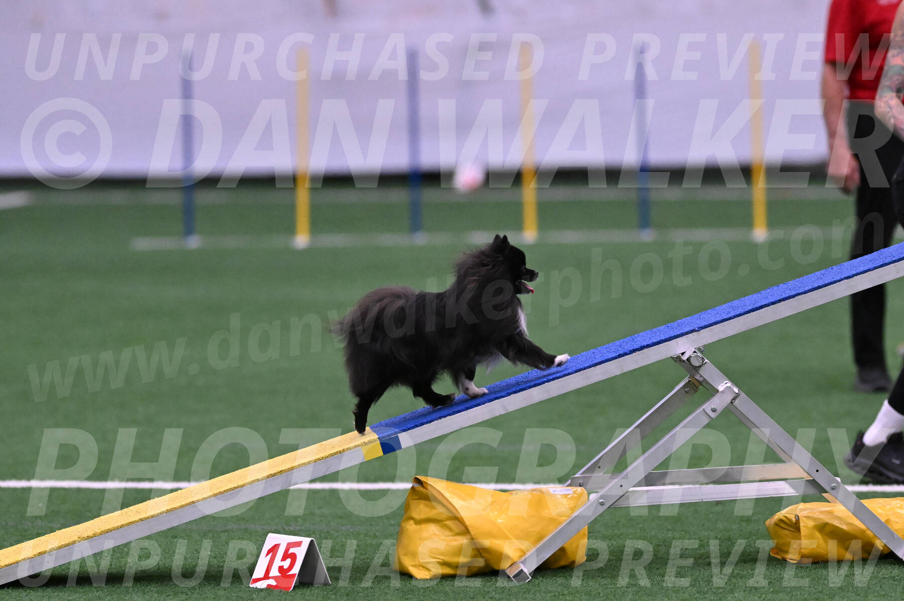Kuro-Chasidy-DelBalso-07666