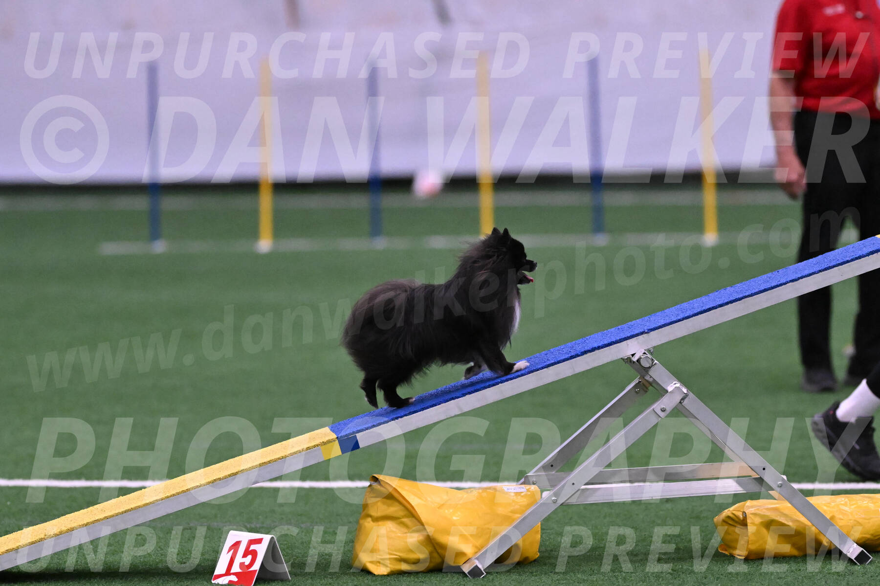 Kuro-Chasidy-DelBalso-07667