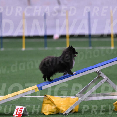Kuro-Chasidy-DelBalso-07667