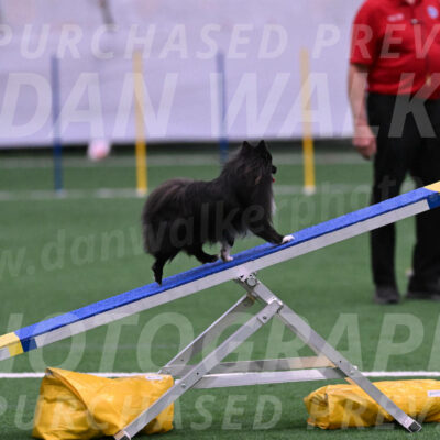 Kuro-Chasidy-DelBalso-07668