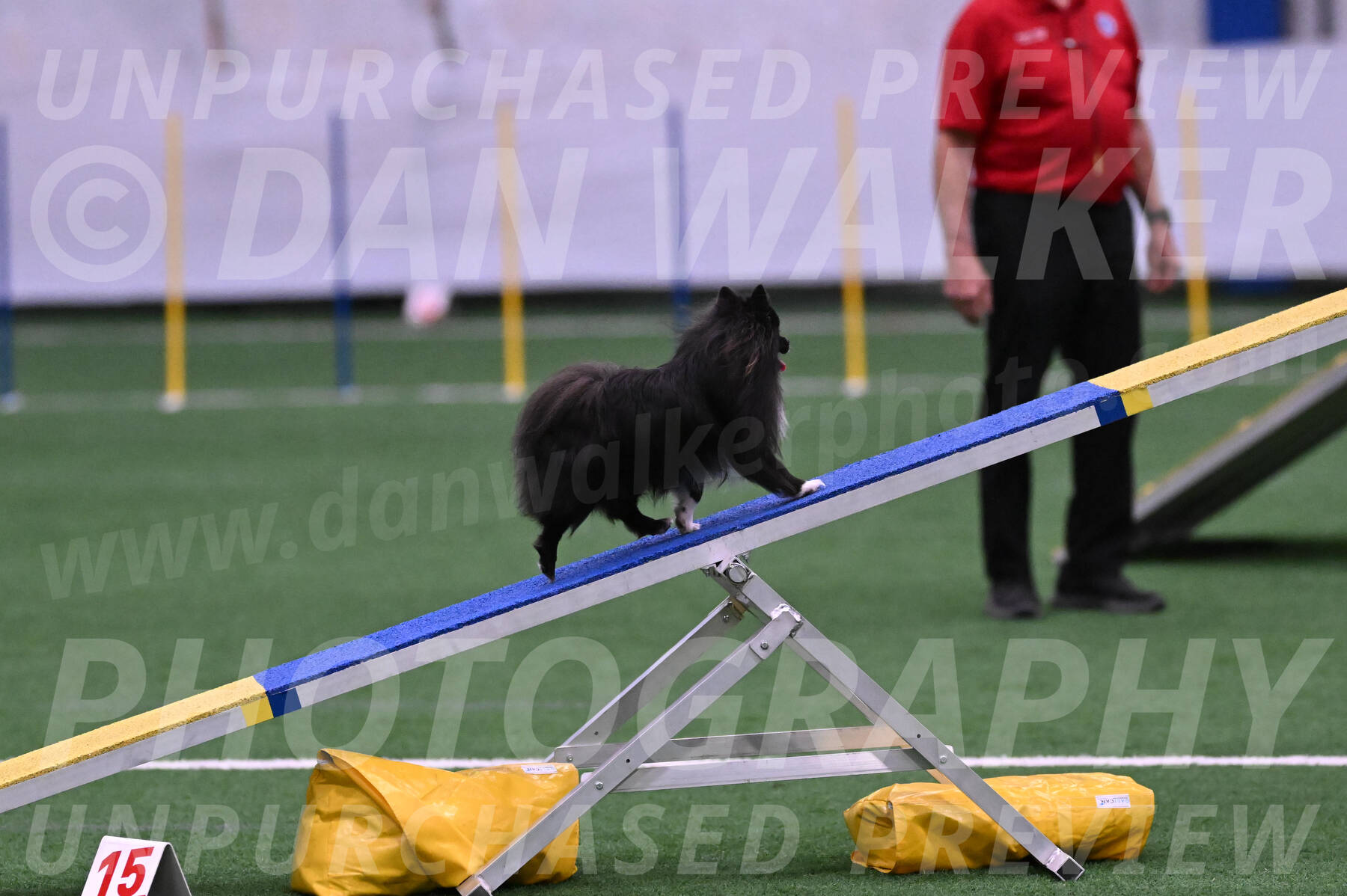 Kuro-Chasidy-DelBalso-07668