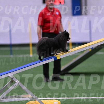 Kuro-Chasidy-DelBalso-07673