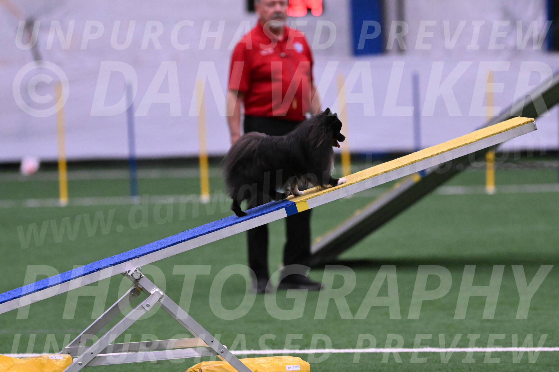 Kuro-Chasidy-DelBalso-07673