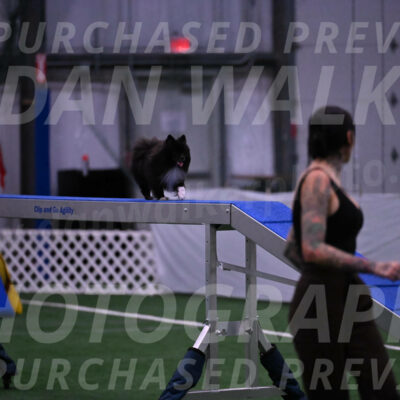 Kuro-Chasidy-DelBalso-07728