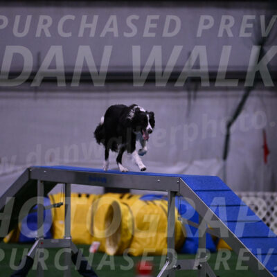 Lincoln-Clark-Hollada-06272