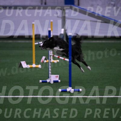 Lincoln-Clark-Hollada-06297