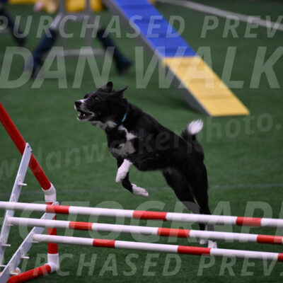 Lizzy-clark-Hollada-00181