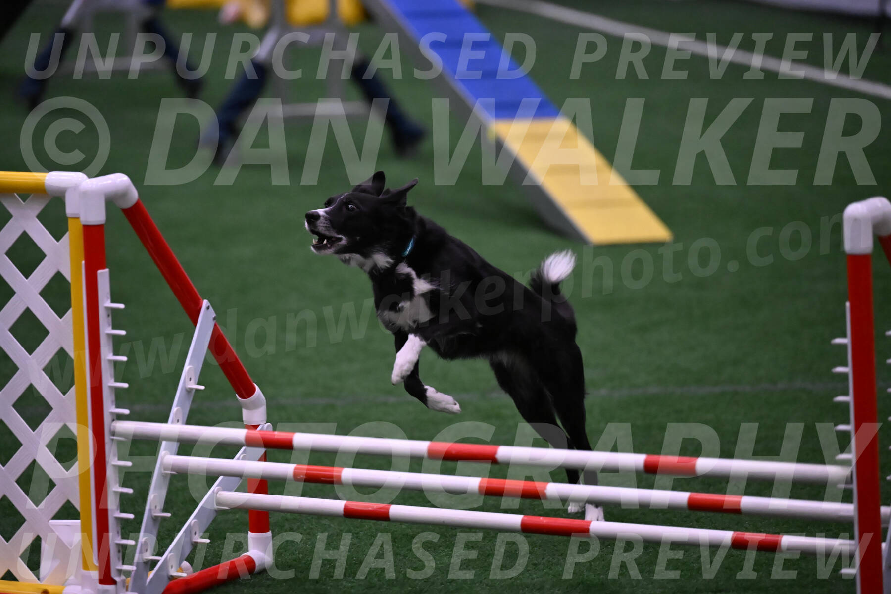 Lizzy-clark-Hollada-00181