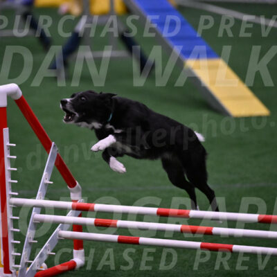 Lizzy-clark-Hollada-00182