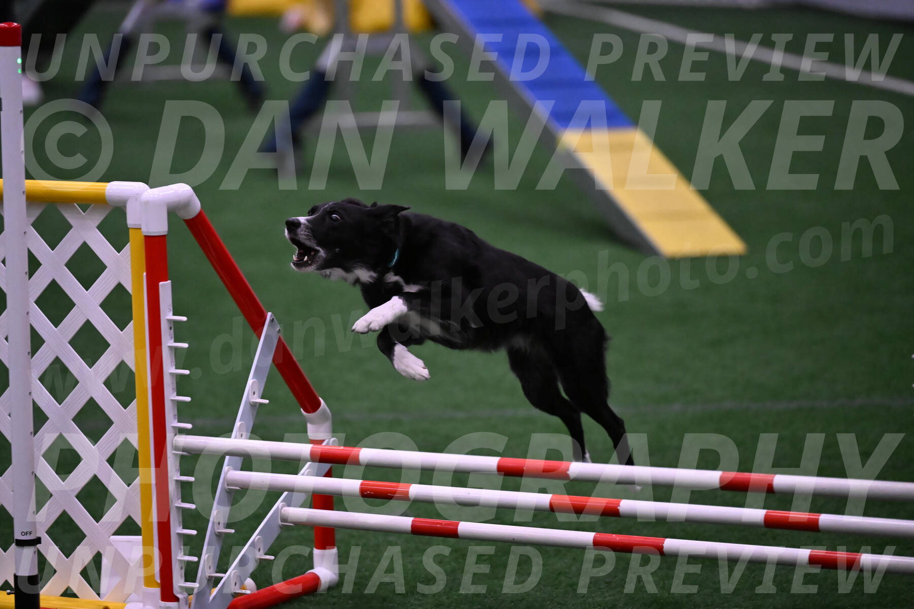 Lizzy-clark-Hollada-00182